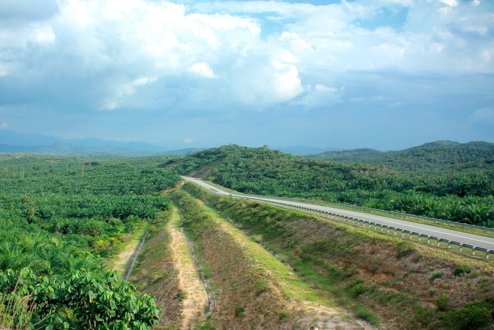 Prime Agricultural Land Nilai, Negeri Sembilan — view 2 of 5