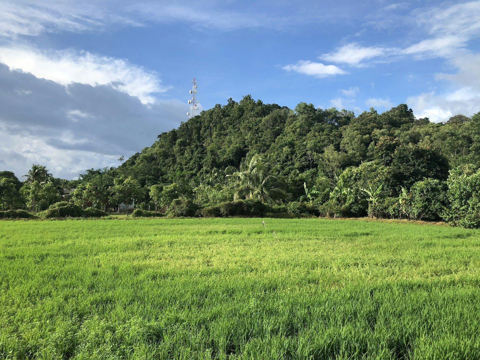 Prime Agricultural Land Nilai, Negeri Sembilan — view 3 of 5