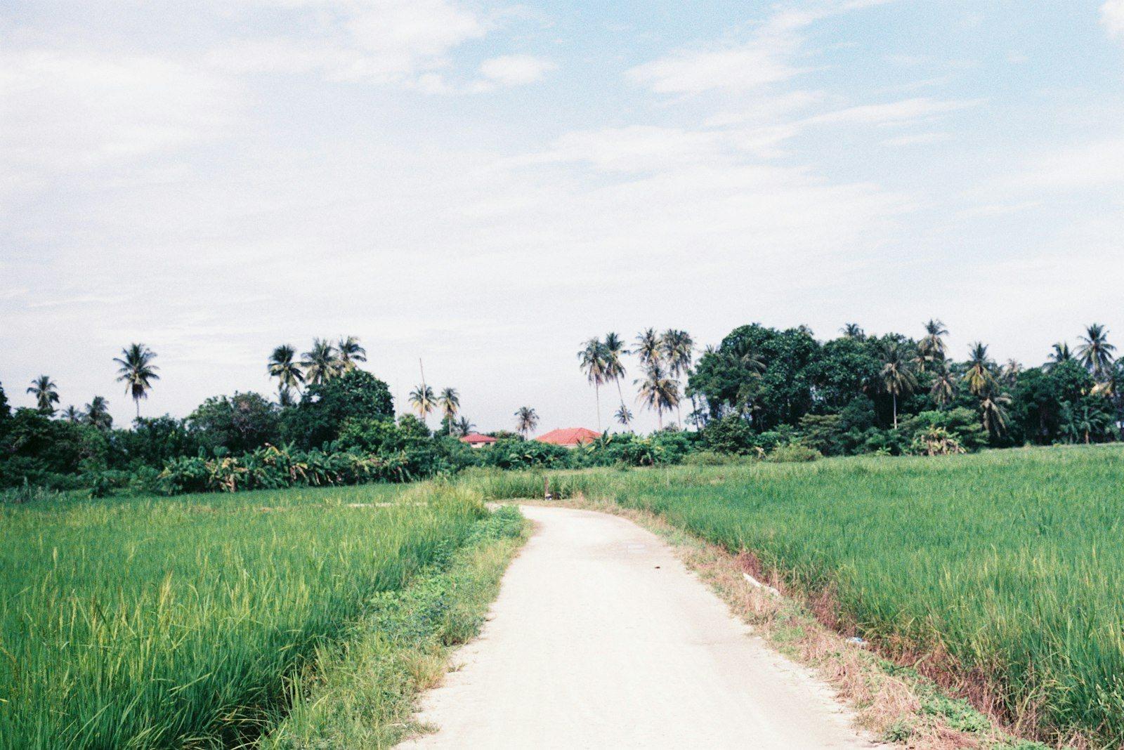 Prime Agricultural Land Nilai, Negeri Sembilan